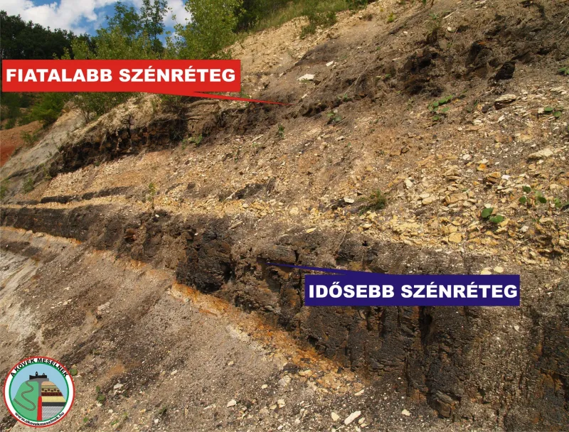Napi planetológia