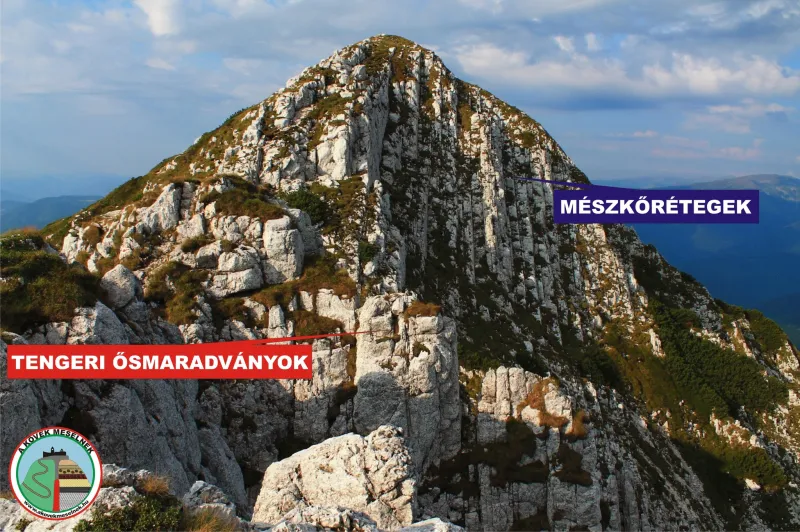 Napi planetológia